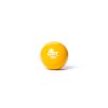 AceSportz PlyoBallz - Maximum Velocity Sports