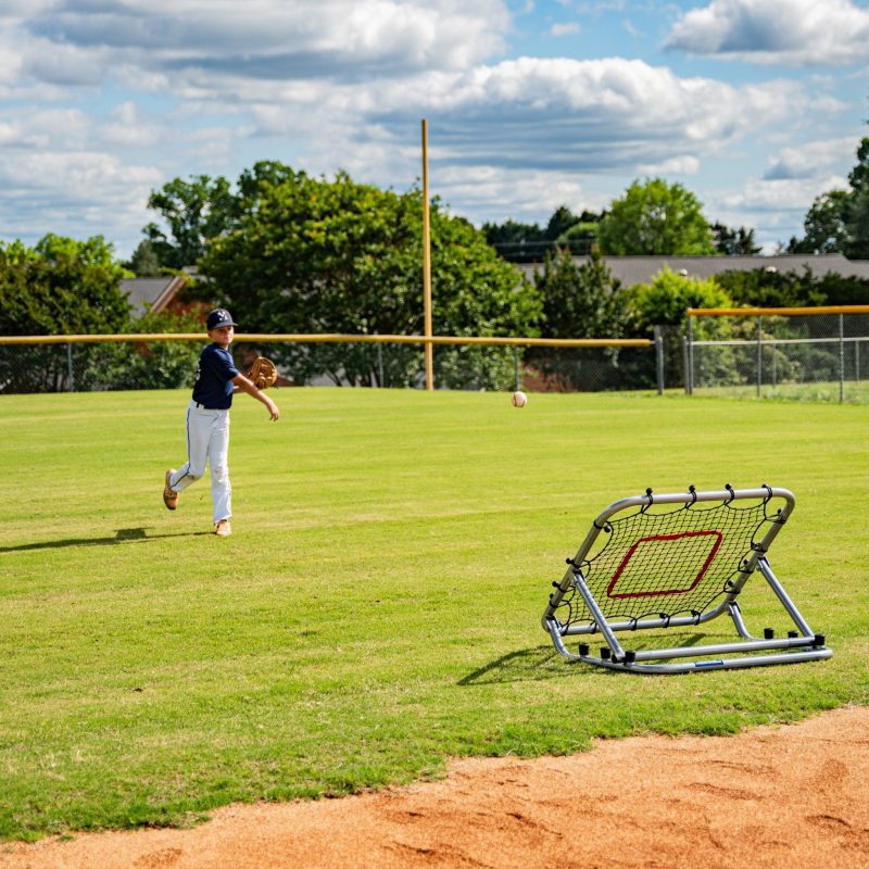 pro portable rebounder 3 x 3 for baseballsoftball 493585